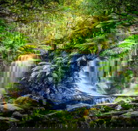 Day Tour in Mt. Field Mt. Wellington Bonorong Wildlife Sanctuary and Richmond - Accommodation Brisbane