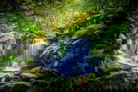 Day Tour in Mt. Field Mt. Wellington Bonorong Wildlife Sanctuary and Richmond, Hobart