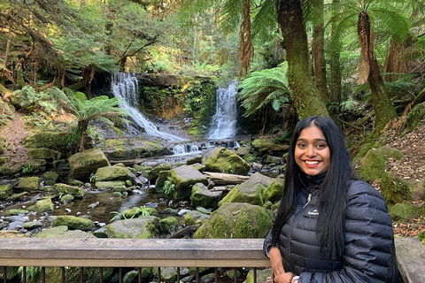 Day Tour In Mt. Field, Mt. Wellington, Bonorong Wildlife Sanctuary And Richmond - Accommodation Brisbane 5