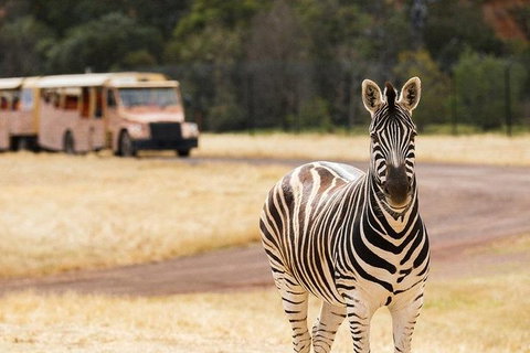 Werribee Open Range Zoo General Admission Ticket - Accommodation Brisbane 5
