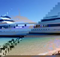 Moreton Island Day Trip Kayak Snorkel  Sandboard frm Brisbane or Gold Coast - Accommodation Brisbane