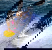 2-Day Moreton Island Tour from Brisbane or Gold Coast with Optional Nighttime Kayaking - Accommodation Brisbane