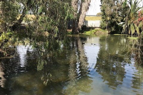 Perth East Foreshore And City Segway Tour - Accommodation Brisbane 1