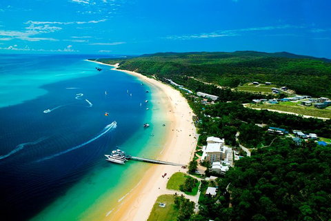 Tangalooma Island Resort Whale Watching Day Cruise - Accommodation Brisbane 2
