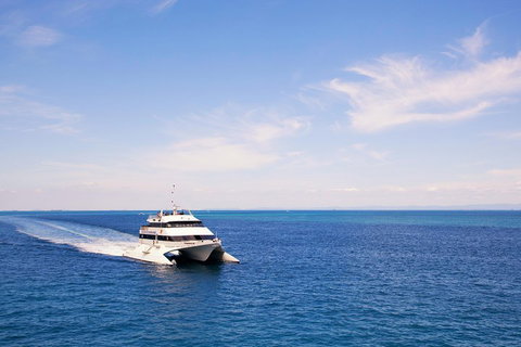 Tangalooma Island Resort Whale Watching Day Cruise - Accommodation Brisbane 5