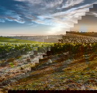 Perth to Margaret River Wine Tour - 2 Day Premium Boutique Wine Tour Experience - Accommodation Brisbane