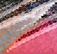 7-Day Exmouth Explorer via Pinnacles Monkey Mia Ningaloo Reef returning to Perth - Accommodation Brisbane