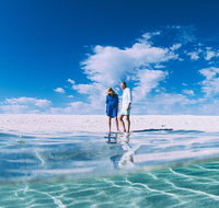 4-Day Coastal Loop via Monkey Mia Wild Dolphins Kalbarri Pinnacles Perth Return - Accommodation Brisbane