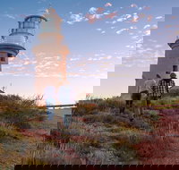 6-Day Coral Coaster from Perth to Exmouth One-Way via Monkey Mia Ningaloo Reef - Accommodation Brisbane