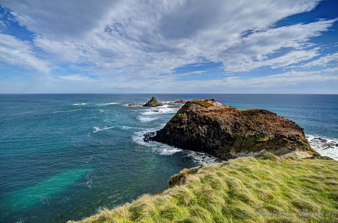 Small-Group Phillip Island Day Trip From Melbourne With Penguin Plus Viewing - Accommodation Brisbane 0