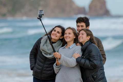 Small-Group Phillip Island Day Trip From Melbourne With Penguin Plus Viewing - Accommodation Brisbane 1