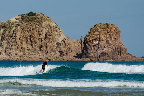 Small-Group Phillip Island Day Trip From Melbourne With Penguin Plus Viewing - Accommodation Brisbane 3