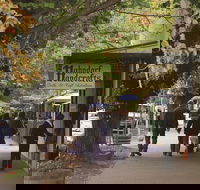 Adelaide Highlights Hahndorf  McLaren Vale Wine Tasting and Sightseeing Tour - Accommodation Brisbane