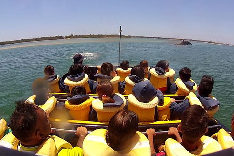 Jet Boat Express Ride - 30mins - Accommodation Brisbane 5