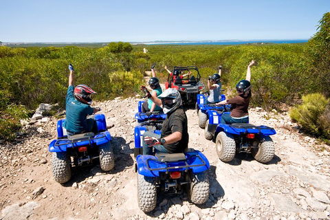 Kangaroo Island Quad Bike (ATV) Tours - Accommodation Brisbane 3