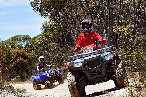 Kangaroo Island Quad Bike (ATV) Tours - Accommodation Brisbane 5