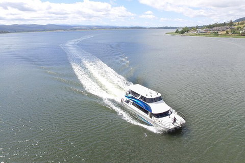 2.50 Hour Afternoon Discovery Cruise Including Cataract Gorge Departing At 3 Pm - Accommodation Brisbane 0