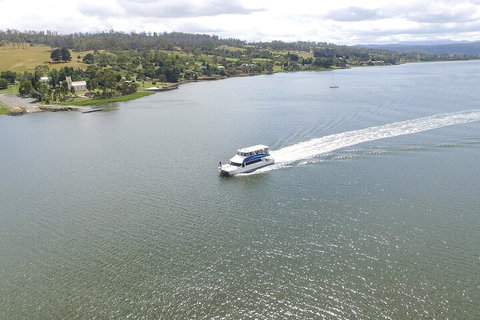 2.50 Hour Afternoon Discovery Cruise Including Cataract Gorge Departing At 3 Pm - Accommodation Brisbane 4