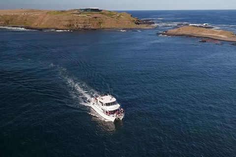 Phillip Island Seal-Watching Cruise - Accommodation Brisbane 1