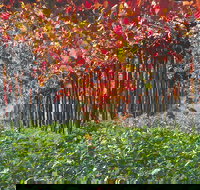 Margaret River Private Tour - Accommodation Brisbane