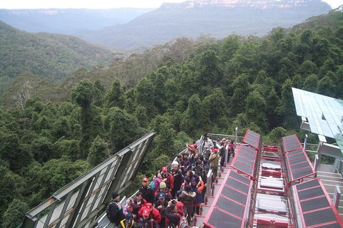 Blue Mountains Private Tour With Wildlife Park And River Cruise - Accommodation Brisbane 1