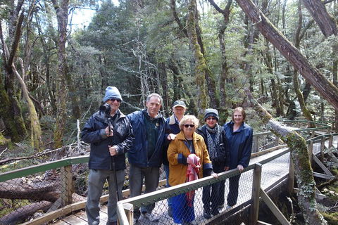 Blue Mountains Private Tour With Wildlife Park And River Cruise - Accommodation Brisbane 2