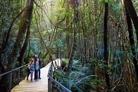 Blue Mountains Private Tour With Wildlife Park And River Cruise - Accommodation Brisbane 4