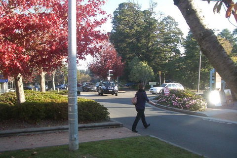 PRIVATE All-Day Blue Mountains Tour With Professional Guide For Up To 4 People - Accommodation Brisbane 1