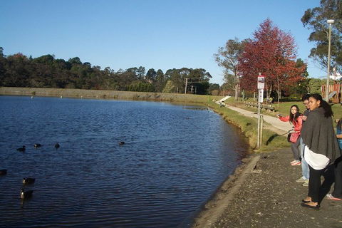 PRIVATE All-Day Blue Mountains Tour With Professional Guide For Up To 4 People - Accommodation Brisbane 2