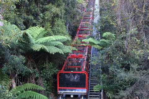 Blue Mountains Private Full-Day Tour From Sydney With Cruise - Accommodation Brisbane 5
