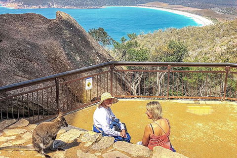 Wineglass Bay & Freycinet NP Full Day Tour From Hobart Via Richmond Village - Accommodation Brisbane 1