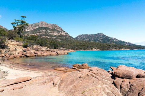 Wineglass Bay & Freycinet NP Full Day Tour From Hobart Via Richmond Village - Accommodation Brisbane 5