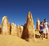 Pinnacles Day Trip from Perth Including Yanchep National Park - Accommodation Brisbane