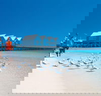 Margaret River and Geographe Bay Region Day Trip from Perth - Accommodation Brisbane