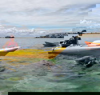 Seal Island and Penguin Island or Point Peron Sea Kayak Tour - Accommodation Brisbane