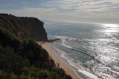 Full-Day Great Ocean Road Tour From Melbourne - Accommodation Brisbane 0