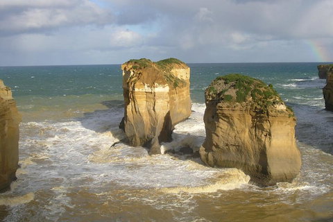 Full-Day Great Ocean Road Tour From Melbourne - Accommodation Brisbane 4
