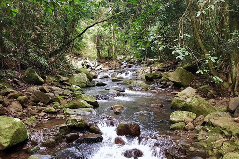 Exclusive Private Tour - Design Your Own - Accommodation Brisbane 1