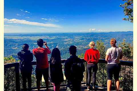 Exclusive Private Tour - Design Your Own - Accommodation Brisbane 2