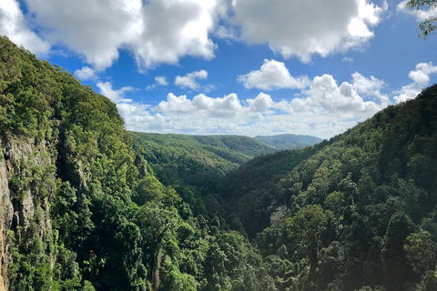 Exclusive Private Tour - Design Your Own - Accommodation Brisbane 3