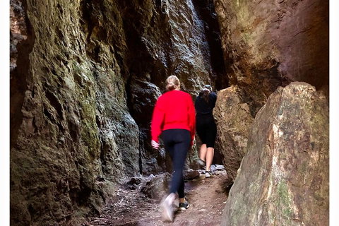 Exclusive Private Tour - Design Your Own - Accommodation Brisbane 4