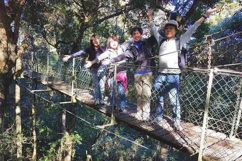 Exclusive Private Tour - Design Your Own - Accommodation Brisbane 5