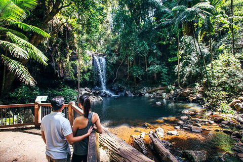 Aquaduck & Your Choice Of Gold Coast Rainforest Tour - Accommodation Brisbane 0