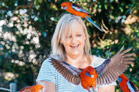 Aquaduck & Your Choice Of Gold Coast Rainforest Tour - Accommodation Brisbane 5