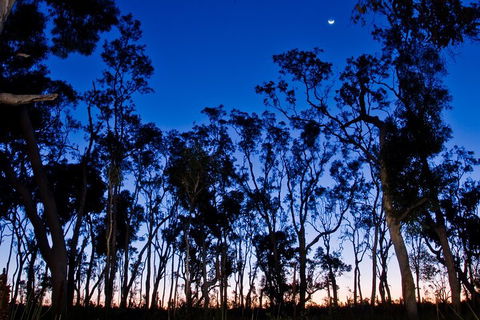 Small-Group Kangaroo Island 4WD Night Tour - Accommodation Brisbane 2