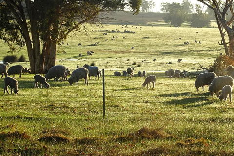 The Big Wave Rock (Private) Day Tour - Accommodation Brisbane 1