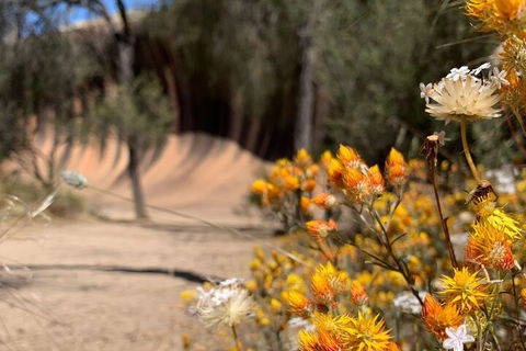 The Big Wave Rock (Private) Day Tour - Accommodation Brisbane 3