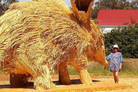 The Big Wave Rock (Private) Day Tour - Accommodation Brisbane 5