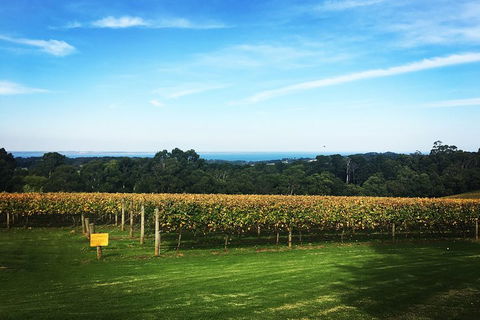 Yarra Valley Private Car Winery Tour And Chocolate.1-7 Passengers One Car Price - Accommodation Brisbane 0