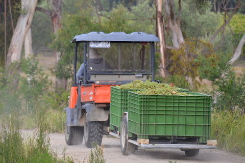 Yarra Valley Private Car Winery Tour And Chocolate.1-7 Passengers One Car Price - Accommodation Brisbane 1
